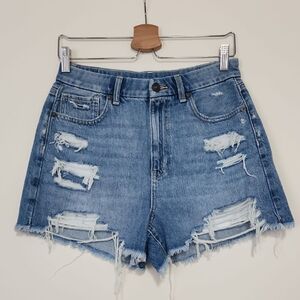 American Eagle Outfitters Distressed Light Blue Denim Jean Shorts